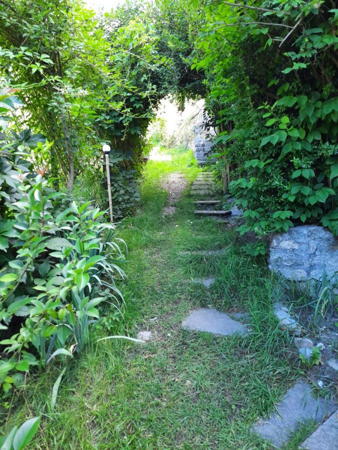 Alla Curva Di Elia Manzoni Malè 外观 照片